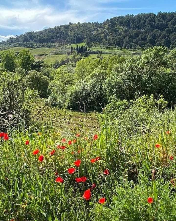 Chambre D'Hote Au Jardin Le Clos Des Vins D'Anges Saint-Pierre-des-Champs Esterno foto
